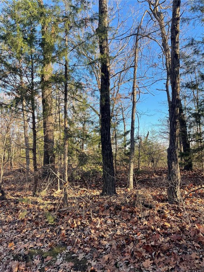 View of nature | Image 8