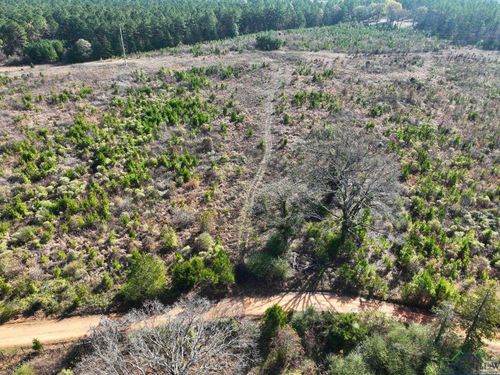 33.01 ac TBD Cr 4231, Atlanta, TX, 75551-0000 | Card Image