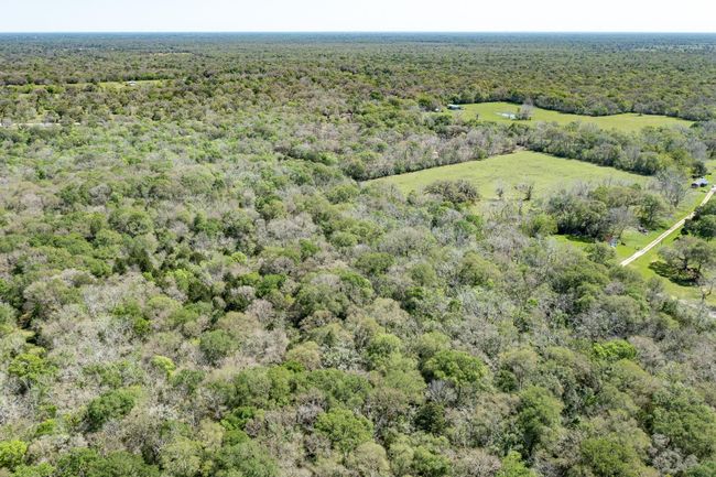 0 County Road 321, Home with 0 bedrooms, 0 bathrooms and null parking in Sweeny TX | Image 12