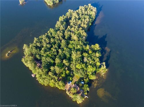 0 Pitch Pine Island Drive, Battersea, ON, K0H1H0 | Card Image