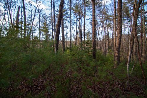 3 Rock Creek Ln, Cherry Log, GA, 30522-3001 | Card Image