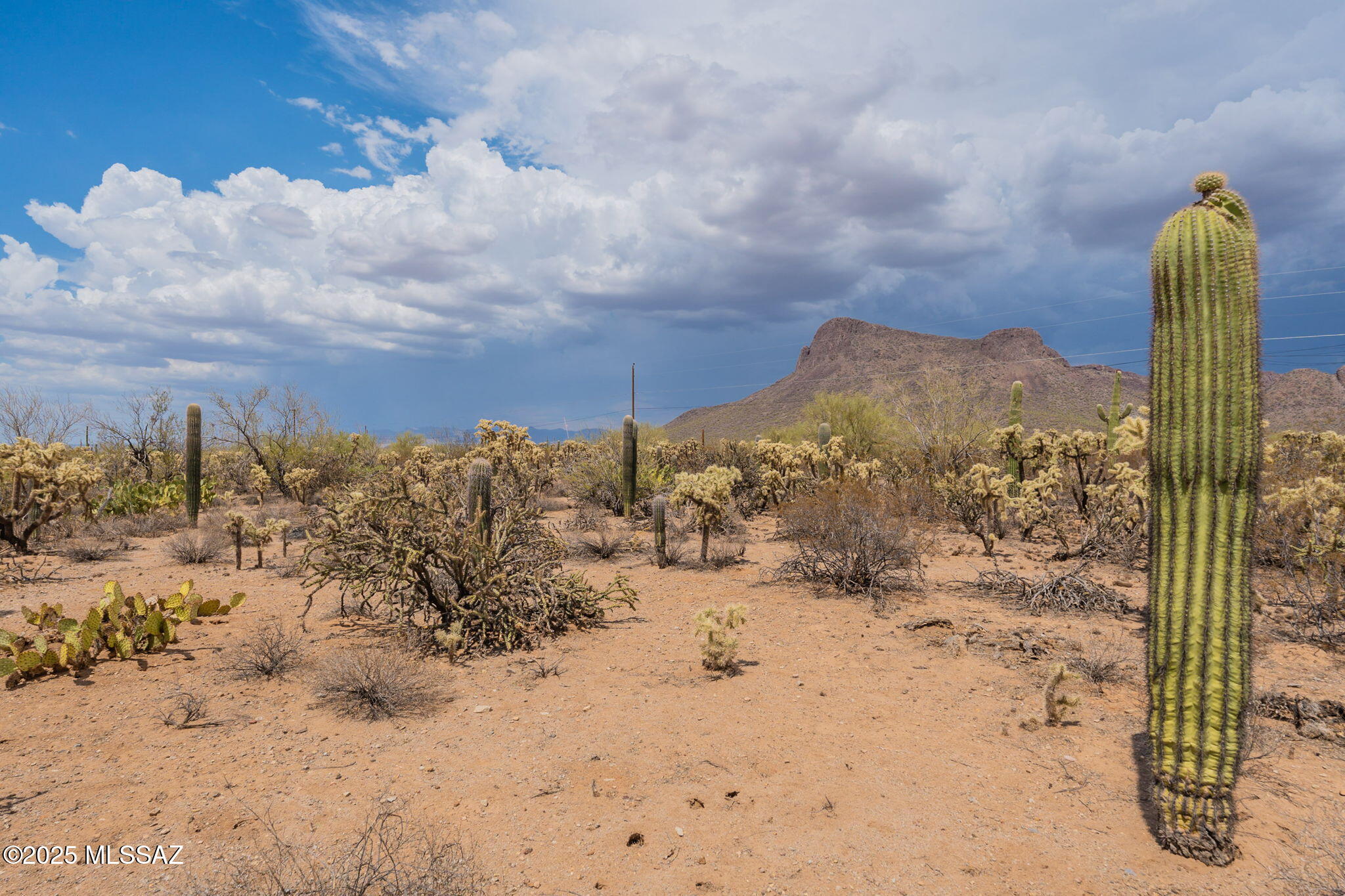 Land in Tucson 5