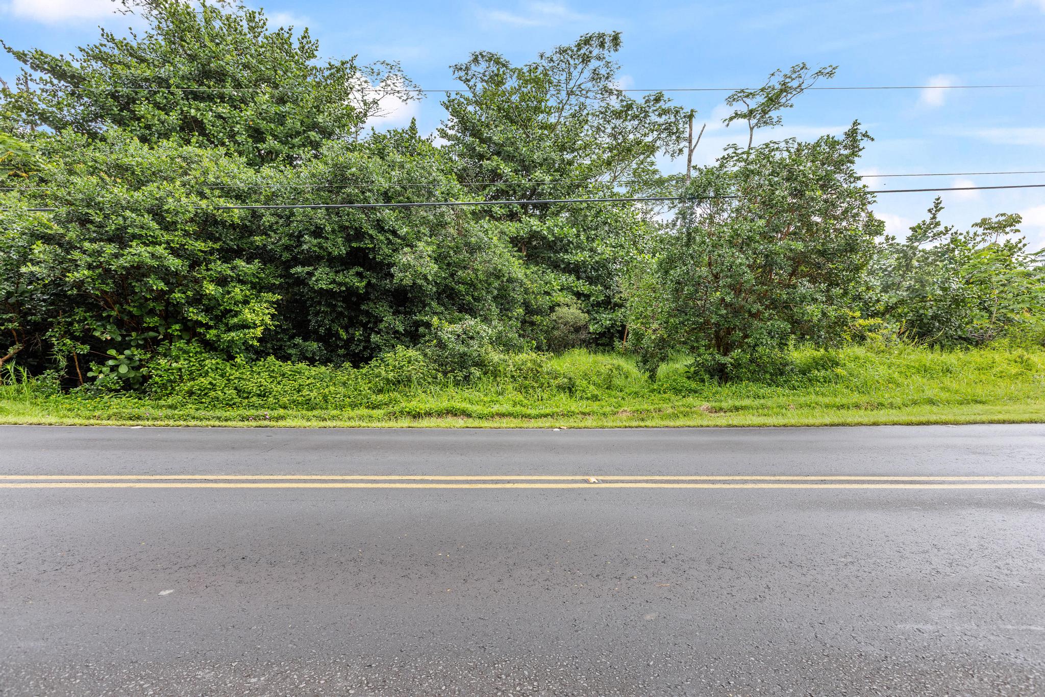 Land in Keaau 5
