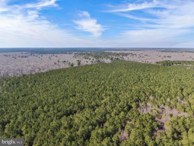 0 Follow Ditch Rd, Home with 0 bedrooms, 0 bathrooms and null parking in PRINCESS ANNE MD | Image 17