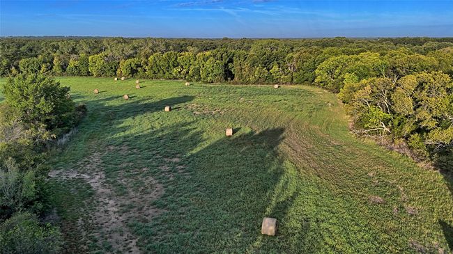 0 Deen Rd, Home with 0 bedrooms, 0 bathrooms and null parking in Bowie TX | Image 10