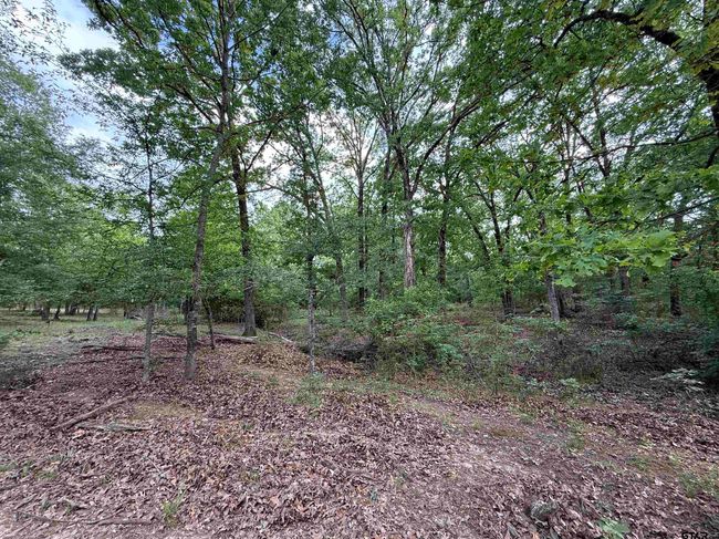 72 Acres N Farm Road 900, Home with 0 bedrooms, 0 bathrooms and null parking in Saltillo TX | Image 37