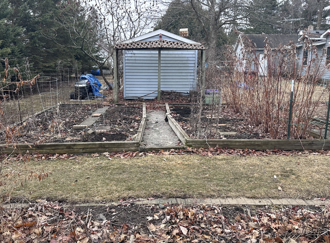 Garden Shed / Flower Beds | Image 15