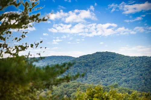 Lot 16 Buckskin Drive, Blue Ridge, GA, 30513 | Card Image