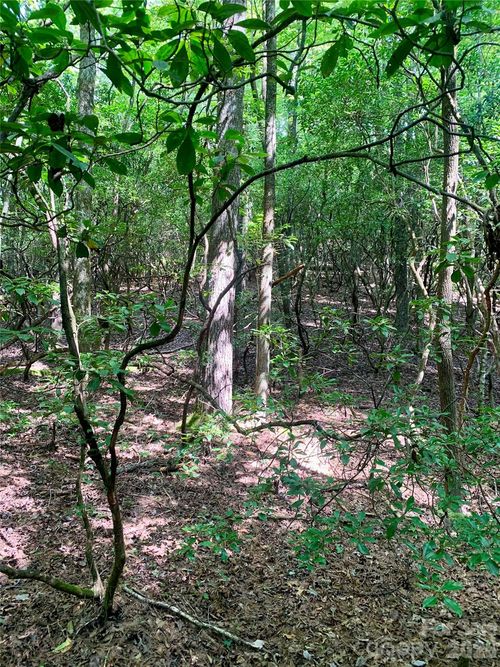 6-6 Double Creek Rd, Brevard, NC, 28712-0119 | Card Image