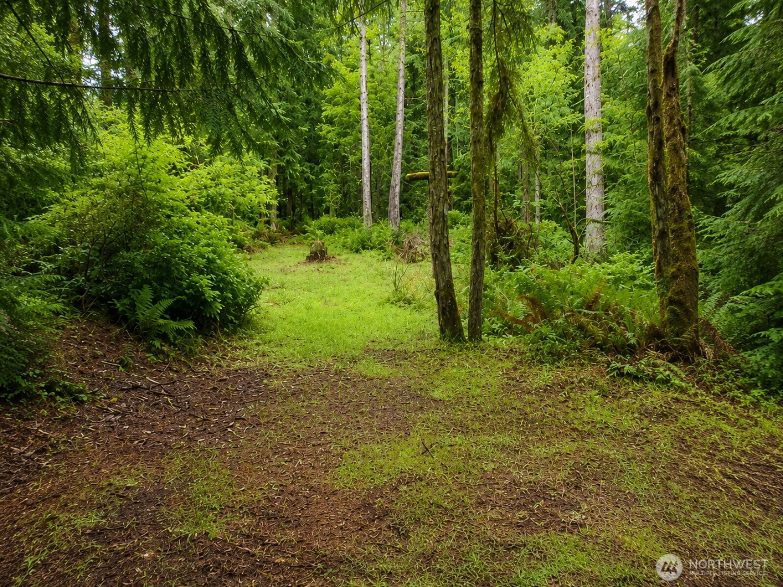 Land in Shelton 2