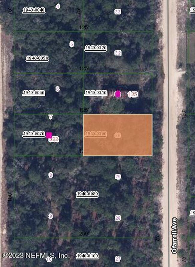 lot 30 O Farrell Avenue, Home with 0 bedrooms, 0 bathrooms and null parking in Interlachen FL | Image 4
