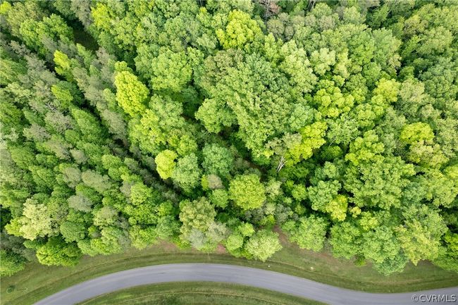 View of bird's eye view | Image 18