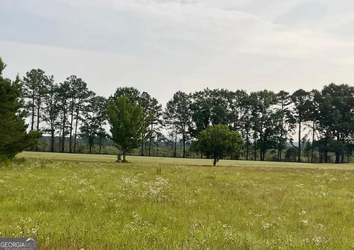 38 & 39 Crabapple Dr, Hawkinsville, GA, 31036-6659 | Card Image