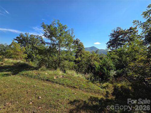 20-1505 Summit View Dr, Canton, NC, 28716 | Card Image