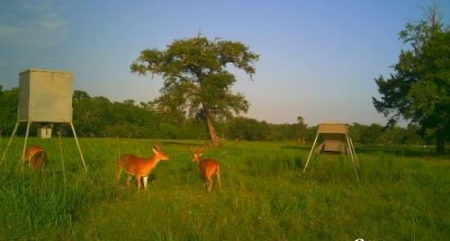 2015 Summers Rd, Damon, TX, 77430 | Card Image
