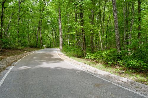 1.1AC Hillis Cemetery Rd, Spencer, TN, 38585 | Card Image