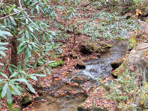 135.49ac Webb Creek Rd, Andrews, NC, 28901 | Card Image