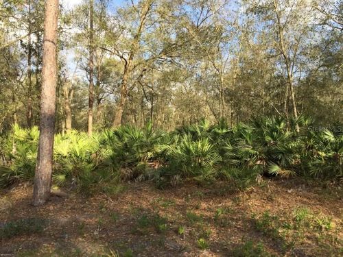 144 Phillips Rd, Florahome, FL, 32140 | Card Image