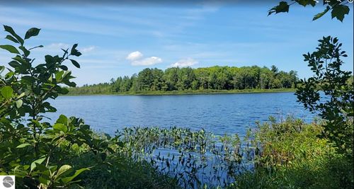 457 Ne Lake Drive, Kalkaska, MI, 49646 | Card Image