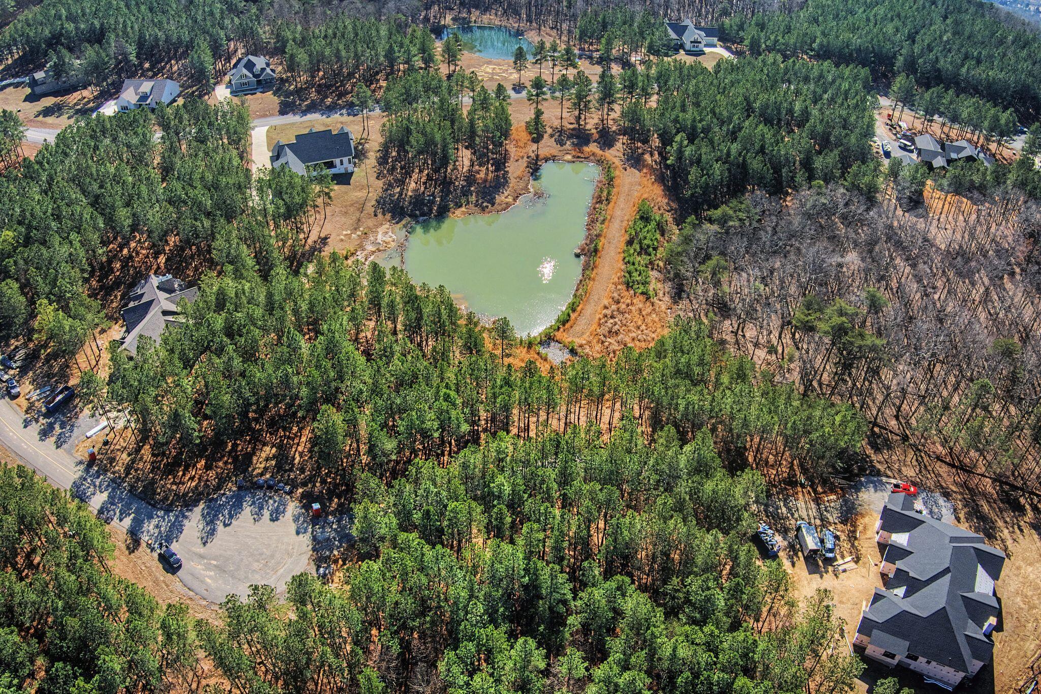 Land in Jasper 2