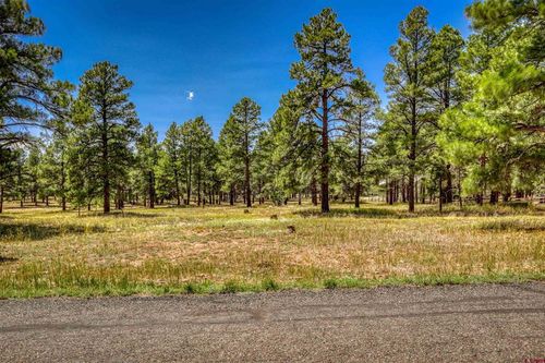 86 Hackamore Pl, Pagosa Springs, CO, 81147-9548 | Card Image