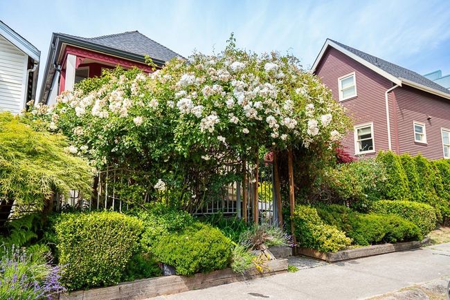 View of front of home featuring roof with shingles | Image 37