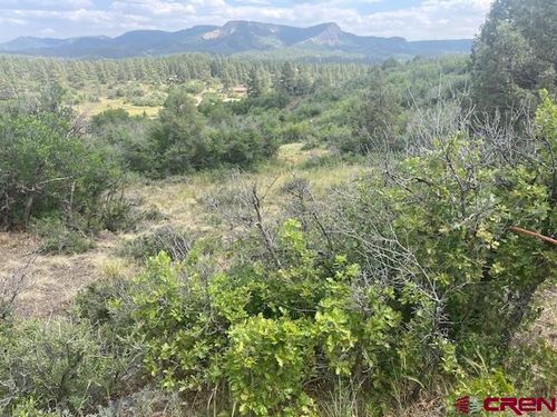 1172 Cactus Dr, Pagosa Springs, CO, 81147 | Card Image