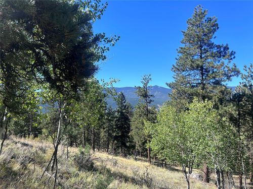 62430 Us Highway 285, BAILEY, CO, 80421-2195 | Card Image