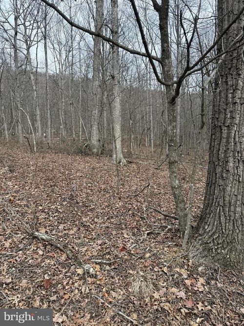 Lt 187 Mine Mountain Ln, FORT VALLEY, VA, 22652-1900 | Card Image