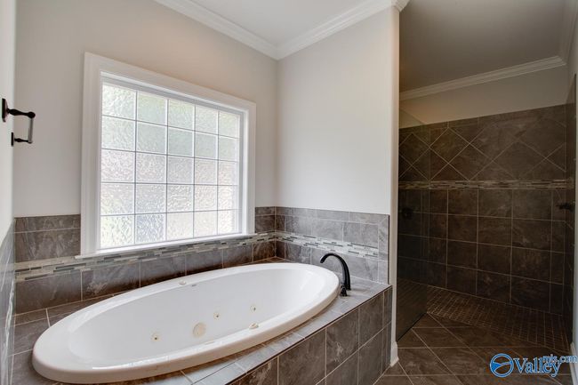 253 Waterbrook Ln, House other with 3 bedrooms, 3 bathrooms and null parking in Harvest AL | Image 26