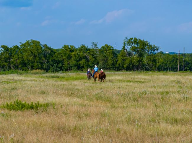 317 Memory Ln, Home with 0 bedrooms, 0 bathrooms and null parking in Burton TX | Image 4
