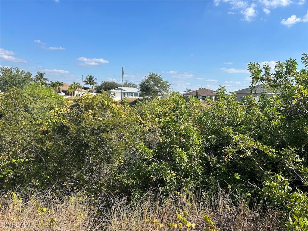 Land in Cape Coral 4