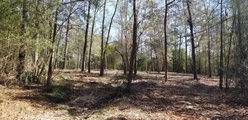 TBD Linwood, Conroe, TX, 77304 | Card Image