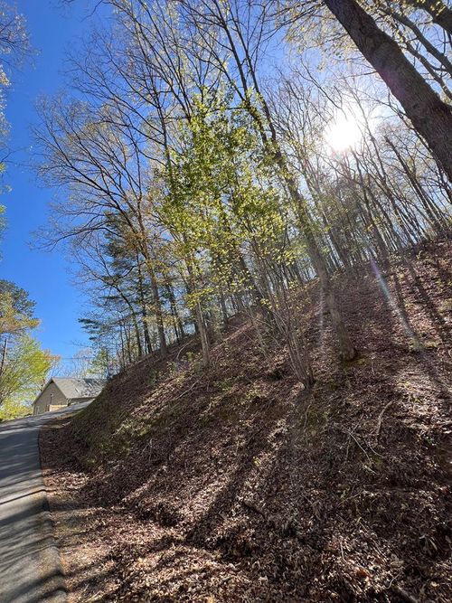 Lot 2 Lonesome Pine Rd, Murphy, NC, 28906-1760 | Card Image