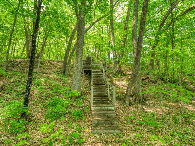 Stairs from the lake | Image 62