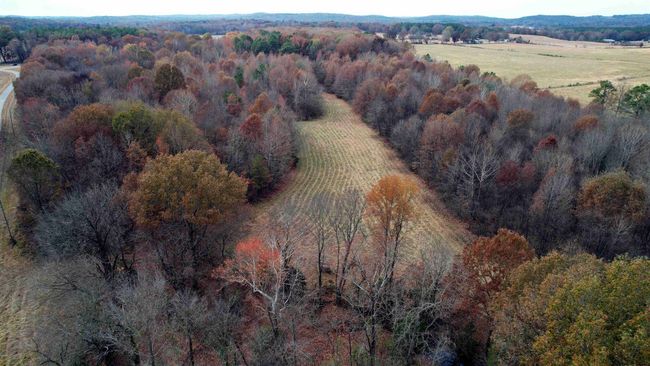 0000 Highway 56, Home with 0 bedrooms, 0 bathrooms and null parking in Russellville AL | Image 34