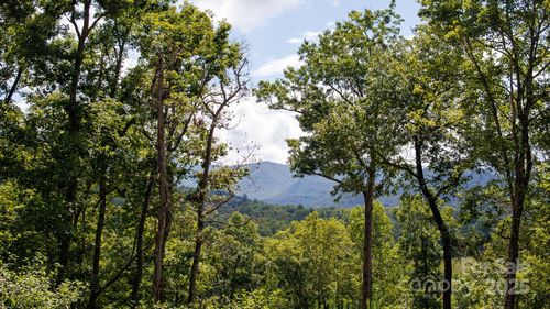 21-9999 Kimberly Ln, Franklin, NC, 28734 | Card Image