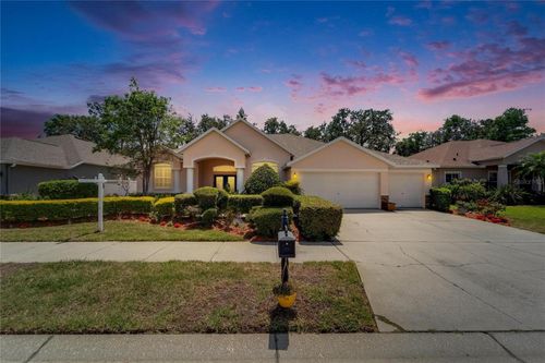 2515 Centennial Falcon Dr, Valrico, FL, 33596-6310 | Card Image