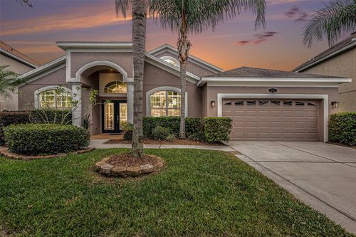 20017 Painting Nature Ln, TAMPA, FL, 33647-3595 | Card Image