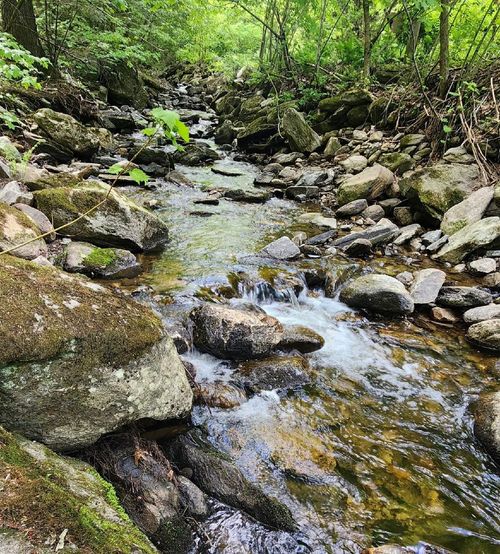 00 Tarbell Hill Rd, Perkinsville, VT, 05151 | Card Image