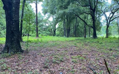 265 Sw Mcnish Ct, HIGH SPRINGS, FL, 32643-1224 | Card Image