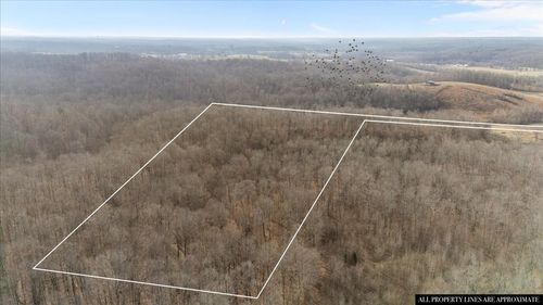 3955 Possum Hollow Rd, Palmyra, TN, 37142 | Card Image