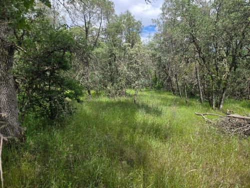 12729 Wolf Road, Grass Valley, CA, 95949 | Card Image