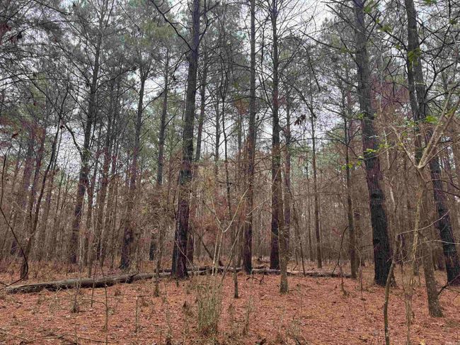 000 Ashley Road 912, Home with 0 bedrooms, 0 bathrooms and null parking in Hamburg AR | Image 40
