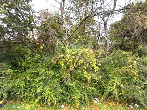 1627 Stella Avenue, Dallas, TX, 75216 | Card Image