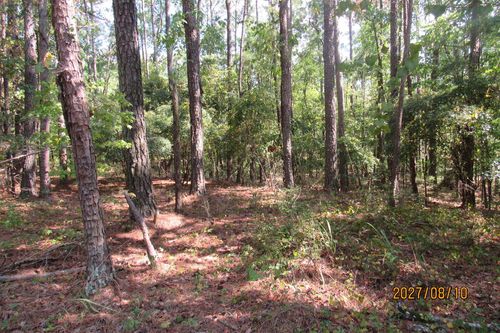 704 Chickasaw Trl S, Sparta, GA, 31087-2105 | Card Image