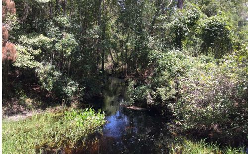 0 Clet Harvey Rd, Glen Saint Mary, FL, 32040 | Card Image