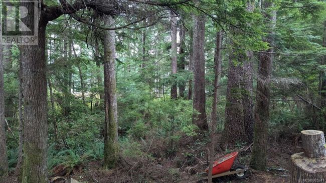 542E Larch St, Home with 0 bedrooms, 0 bathrooms and null parking in Alert Bay BC | Image 10