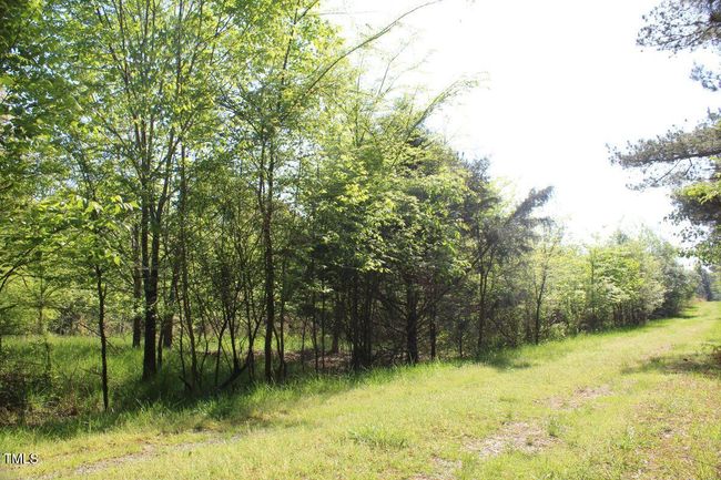 16 | Image 17