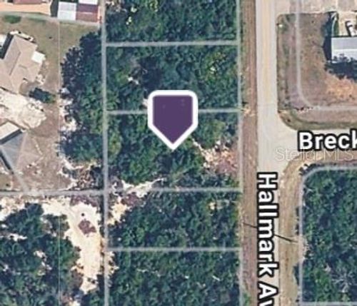 228 Hallmark Ave, LAKE PLACID, FL, 33852-7663 | Card Image